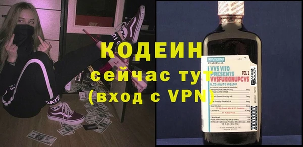 ГАЛЛЮЦИНОГЕННЫЕ ГРИБЫ Корсаков