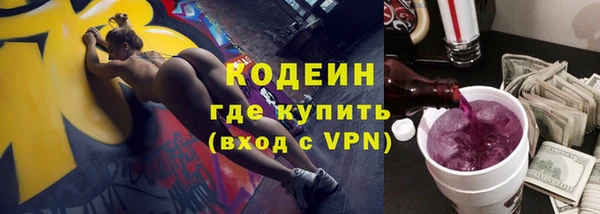 ГАЛЛЮЦИНОГЕННЫЕ ГРИБЫ Корсаков
