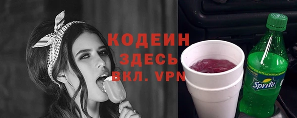 ГАЛЛЮЦИНОГЕННЫЕ ГРИБЫ Корсаков