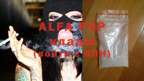 ГАЛЛЮЦИНОГЕННЫЕ ГРИБЫ Корсаков